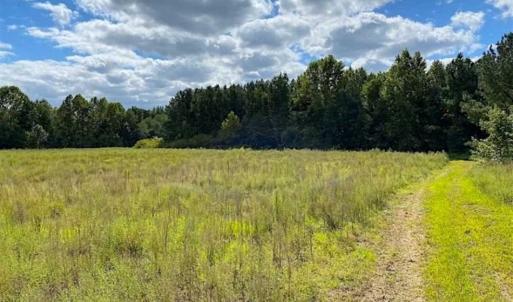 Photo of SOLD!!  34.39 Acres of Farm Land For Sale in Dinwiddie County Virginia!