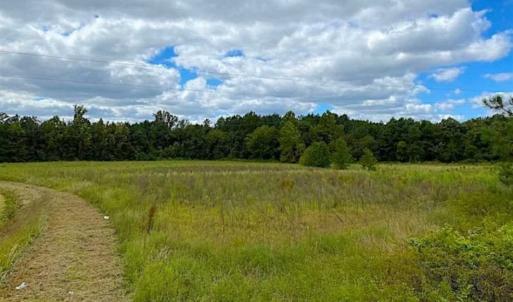 Photo of SOLD!!  34.39 Acres of Farm Land For Sale in Dinwiddie County Virginia!
