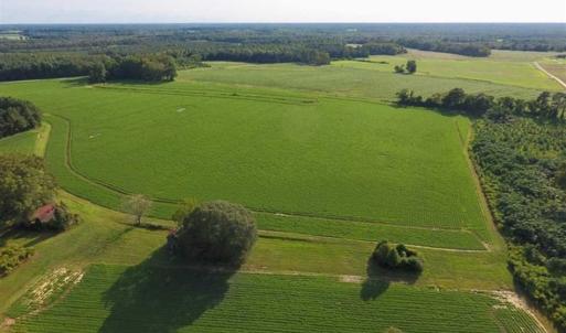 Photo of SOLD!!  148 Acres of Farm and Timber Land & 25% Interest in 128 Acres of Timber Land For Sale in Wilson County NC!