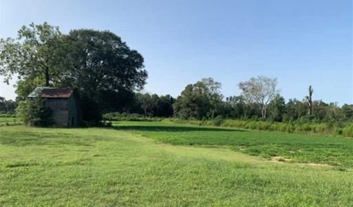 Photo of SOLD!!  148 Acres of Farm and Timber Land & 25% Interest in 128 Acres of Timber Land For Sale in Wilson County NC!
