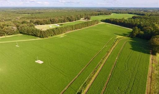 Photo of SOLD!!  148 Acres of Farm and Timber Land & 25% Interest in 128 Acres of Timber Land For Sale in Wilson County NC!