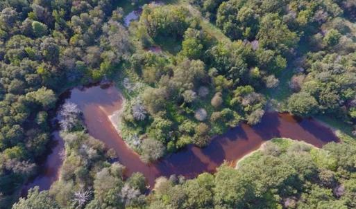 Photo of SOLD!!  148 Acres of Farm and Timber Land & 25% Interest in 128 Acres of Timber Land For Sale in Wilson County NC!