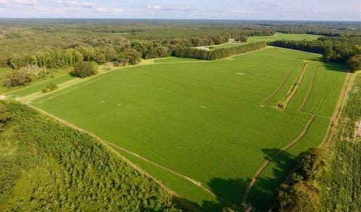 Photo of SOLD!!  148 Acres of Farm and Timber Land & 25% Interest in 128 Acres of Timber Land For Sale in Wilson County NC!