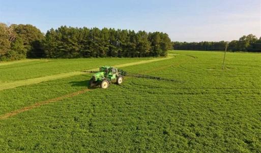Photo of SOLD!!  148 Acres of Farm and Timber Land & 25% Interest in 128 Acres of Timber Land For Sale in Wilson County NC!