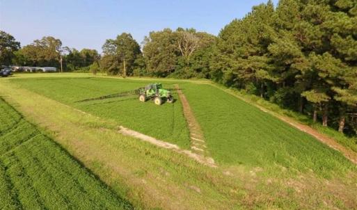 Photo of SOLD!!  148 Acres of Farm and Timber Land & 25% Interest in 128 Acres of Timber Land For Sale in Wilson County NC!