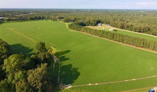 Photo of SOLD!!  148 Acres of Farm and Timber Land & 25% Interest in 128 Acres of Timber Land For Sale in Wilson County NC!