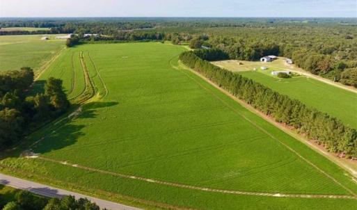 Photo of SOLD!!  148 Acres of Farm and Timber Land & 25% Interest in 128 Acres of Timber Land For Sale in Wilson County NC!