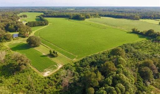 Photo of SOLD!!  148 Acres of Farm and Timber Land & 25% Interest in 128 Acres of Timber Land For Sale in Wilson County NC!