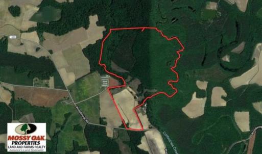 Photo of SOLD!!  148 Acres of Farm and Timber Land & 25% Interest in 128 Acres of Timber Land For Sale in Wilson County NC!