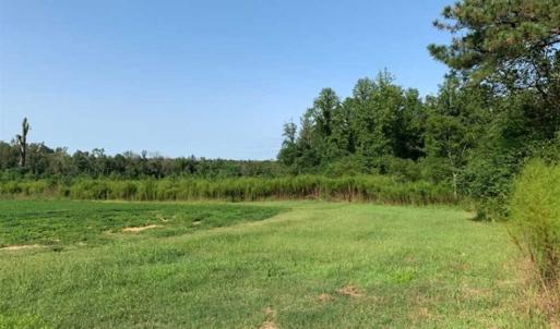 Photo of SOLD!!  148 Acres of Farm and Timber Land & 25% Interest in 128 Acres of Timber Land For Sale in Wilson County NC!