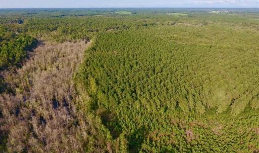 Photo of SOLD!!  148 Acres of Farm and Timber Land & 25% Interest in 128 Acres of Timber Land For Sale in Wilson County NC!