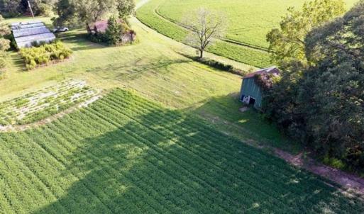 Photo of SOLD!!  148 Acres of Farm and Timber Land & 25% Interest in 128 Acres of Timber Land For Sale in Wilson County NC!