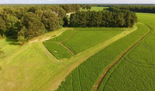 Photo of SOLD!!  148 Acres of Farm and Timber Land & 25% Interest in 128 Acres of Timber Land For Sale in Wilson County NC!