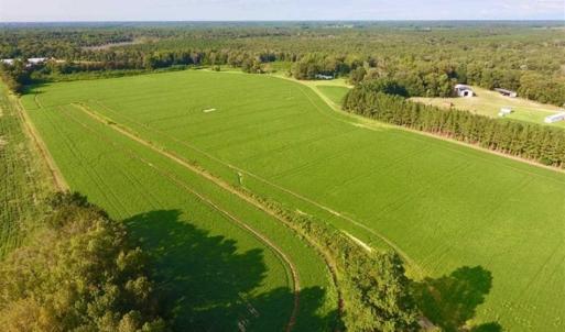 Photo of SOLD!!  148 Acres of Farm and Timber Land & 25% Interest in 128 Acres of Timber Land For Sale in Wilson County NC!