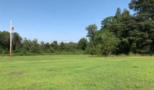 Photo of SOLD!!  148 Acres of Farm and Timber Land & 25% Interest in 128 Acres of Timber Land For Sale in Wilson County NC!