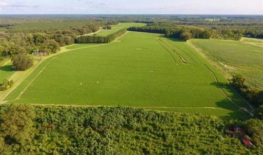 Photo of SOLD!!  148 Acres of Farm and Timber Land & 25% Interest in 128 Acres of Timber Land For Sale in Wilson County NC!