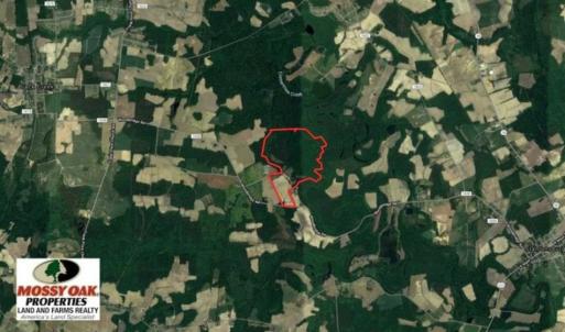 Photo of SOLD!!  148 Acres of Farm and Timber Land & 25% Interest in 128 Acres of Timber Land For Sale in Wilson County NC!