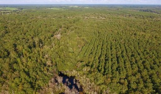 Photo of SOLD!!  148 Acres of Farm and Timber Land & 25% Interest in 128 Acres of Timber Land For Sale in Wilson County NC!