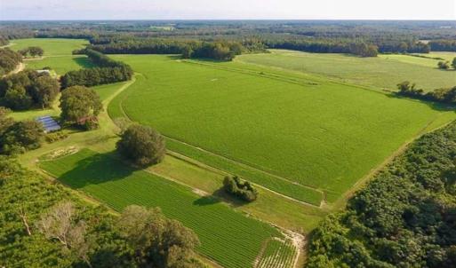 Photo of SOLD!!  148 Acres of Farm and Timber Land & 25% Interest in 128 Acres of Timber Land For Sale in Wilson County NC!