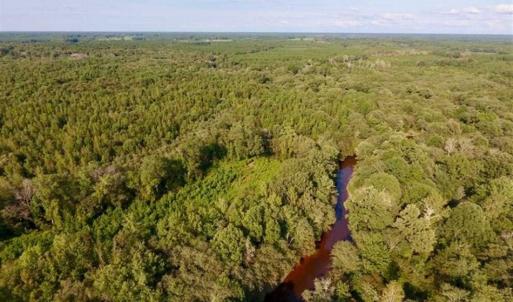 Photo of SOLD!!  148 Acres of Farm and Timber Land & 25% Interest in 128 Acres of Timber Land For Sale in Wilson County NC!
