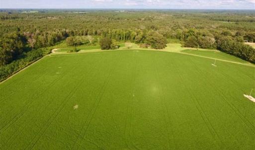 Photo of SOLD!!  148 Acres of Farm and Timber Land & 25% Interest in 128 Acres of Timber Land For Sale in Wilson County NC!