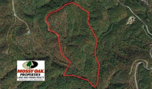 Photo of SOLD!!  55 Acres of Hunting and Recreational Land For Sale in Alleghany County VA!