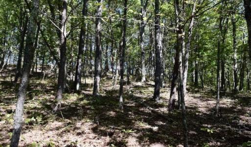 Photo of SOLD!!  55 Acres of Hunting and Recreational Land For Sale in Alleghany County VA!