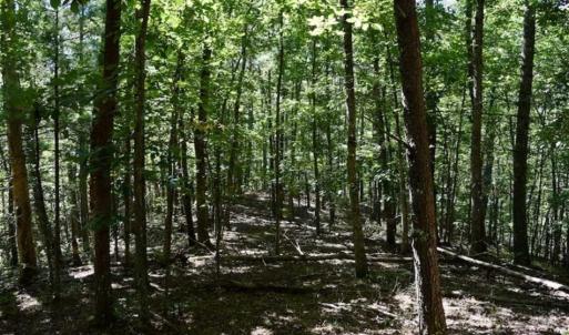 Photo of SOLD!!  55 Acres of Hunting and Recreational Land For Sale in Alleghany County VA!