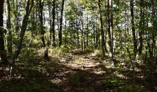 Photo of SOLD!!  55 Acres of Hunting and Recreational Land For Sale in Alleghany County VA!