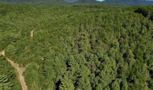Photo of SOLD!!  55 Acres of Hunting and Recreational Land For Sale in Alleghany County VA!