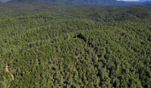 Photo of SOLD!!  55 Acres of Hunting and Recreational Land For Sale in Alleghany County VA!
