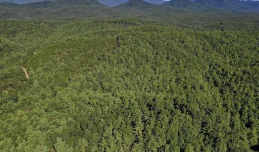 Photo of SOLD!!  55 Acres of Hunting and Recreational Land For Sale in Alleghany County VA!