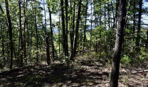 Photo of SOLD!!  55 Acres of Hunting and Recreational Land For Sale in Alleghany County VA!