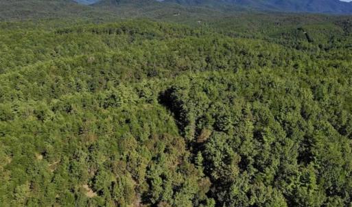 Photo of SOLD!!  55 Acres of Hunting and Recreational Land For Sale in Alleghany County VA!