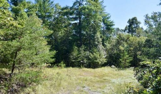 Photo of SOLD!!  55 Acres of Hunting and Recreational Land For Sale in Alleghany County VA!