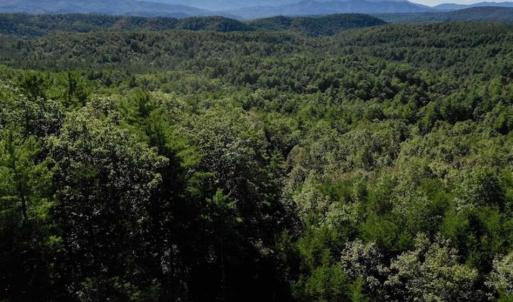 Photo of SOLD!!  55 Acres of Hunting and Recreational Land For Sale in Alleghany County VA!
