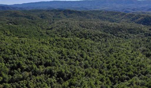 Photo of SOLD!!  55 Acres of Hunting and Recreational Land For Sale in Alleghany County VA!