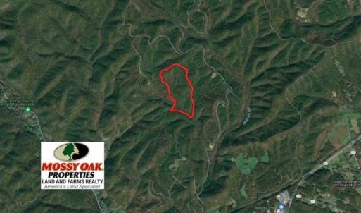 Photo of SOLD!!  55 Acres of Hunting and Recreational Land For Sale in Alleghany County VA!
