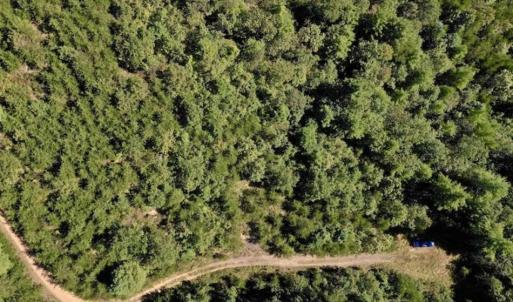 Photo of SOLD!!  55 Acres of Hunting and Recreational Land For Sale in Alleghany County VA!