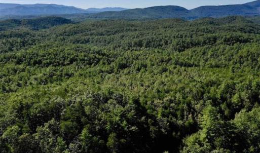 Photo of SOLD!!  55 Acres of Hunting and Recreational Land For Sale in Alleghany County VA!