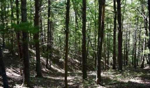 Photo of SOLD!!  55 Acres of Hunting and Recreational Land For Sale in Alleghany County VA!