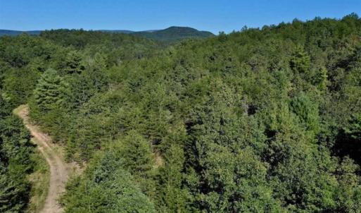 Photo of SOLD!!  55 Acres of Hunting and Recreational Land For Sale in Alleghany County VA!