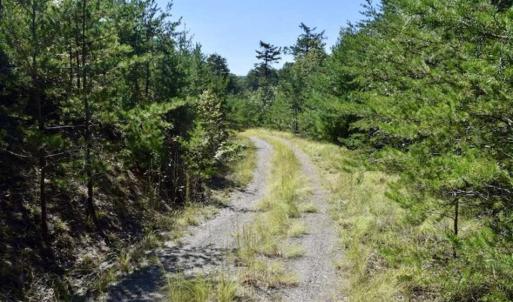 Photo of SOLD!!  55 Acres of Hunting and Recreational Land For Sale in Alleghany County VA!