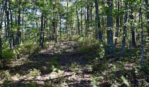 Photo of SOLD!!  55 Acres of Hunting and Recreational Land For Sale in Alleghany County VA!