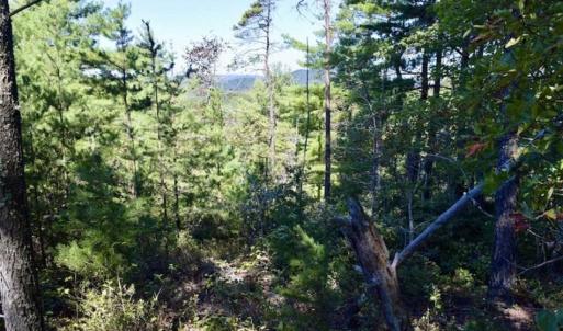 Photo of SOLD!!  55 Acres of Hunting and Recreational Land For Sale in Alleghany County VA!