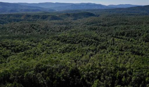 Photo of SOLD!!  55 Acres of Hunting and Recreational Land For Sale in Alleghany County VA!