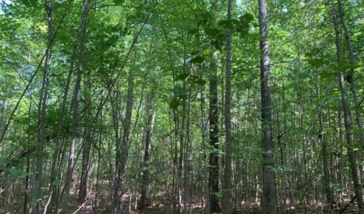 Photo of SOLD!!  7.6 Acres of Residential Land For Sale in Franklin County NC!