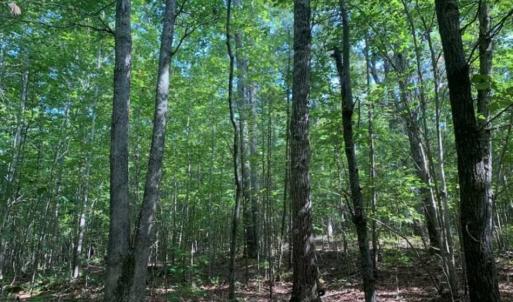Photo of SOLD!!  7.6 Acres of Residential Land For Sale in Franklin County NC!