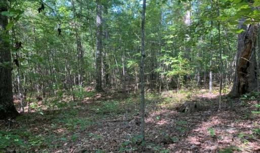 Photo of SOLD!!  7.6 Acres of Residential Land For Sale in Franklin County NC!
