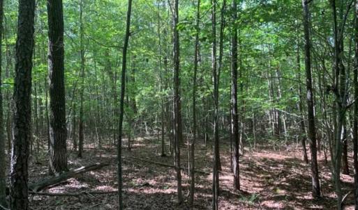 Photo of SOLD!!  7.6 Acres of Residential Land For Sale in Franklin County NC!